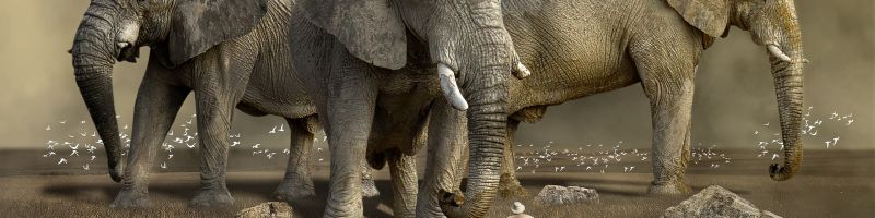 15 Jahreshoch – Covestro, Henkel, Kraken Energy, Renk Group Aktie