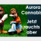Aurora Cannabis - Jetzt rauchts aber