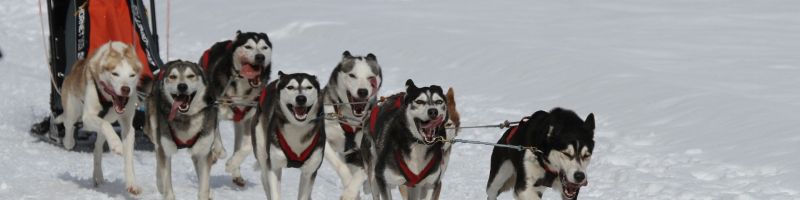 Ausbruch oder panische Rücksetzer? - Altech Advanced Materials, Aixtron, Varta Aktie