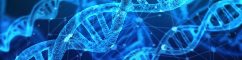 Biotech mit &Uuml;berraschungspotenzial &ndash; Bayer, BioNTech, CureVac, Medigene, Pfizer Aktie