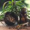 Cannabis - CBD bald teurer als Koks? – EXMceuticals Inc., TransCanna, LeanLife Health