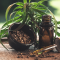 Cannabis - CBD bald teurer als Koks? &ndash; EXMceuticals Inc., TransCanna, LeanLife Health