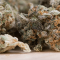 Cannabis-Schwergewichte Aurora & Cronos verlieren gegen diesen Durchstarter