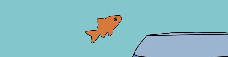 Chancen nutzen -  PayPal, ProSiebenSat.1 Media, wallstreet:online AG Aktie