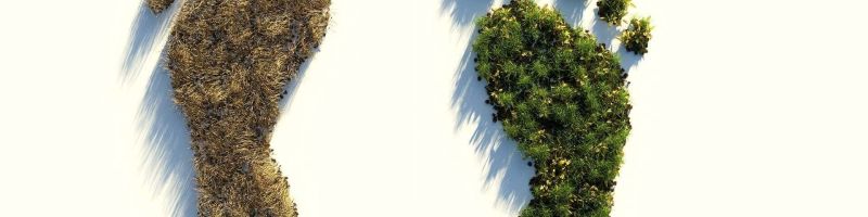 Der Deckel fliegt &ndash; Ausbruch bei Wasserstoffaktien &ndash; Ballard Power, dynaCERT Inc, ITM Power, NEL ASA, Plug Power