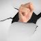 Durchbruch geschafft? BioNTech, Defence Therapeutics, Valneva Aktie