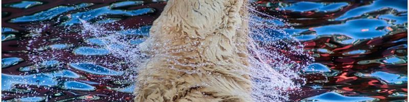 Durchgeschüttelt und lukrativ? LVMH, mm2 Asia, TUI Aktie