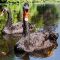 Ein schwarzer Schwan &ndash; BASF, Bayer, Kleos Space