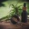 Einbruch, Ausbruch, 45 Milliarden Verlust &ndash; Aurora Cannabis, EXMceuticals Inc., Bayer AG