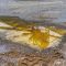 Erd&ouml;l, Silber und Gold, habe ich gewollt &ndash; First Majestic, Globex Mining, Shell Aktie