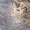Fake Gold, Kursverdopplung und Kursver-3-fachung &ndash; Barrick Gold, Desert Gold Ventures, Steppe Gold, Nicola Mining