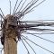 5 G ohne Masten aber mit Wasserstoff &ndash; Telekom, Upco International, AT&T