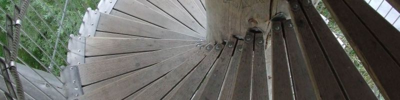 Goldaufwertung und wirtschaftlicher Abstieg – Desert Gold Ventures, FuelCell Energy, ThyssenKrupp Aktie