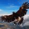 Highflyer Schiffe und Crash der Grafikkarten & Kryptos? Nvidia, Ernst Russ, CoinSmart Financial