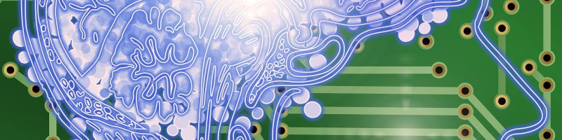 Home Run - DeepSeek und ChatGPT können mit der NetraMark KI nicht mithalten