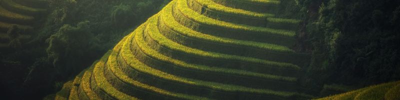 Im Osten geht die Sonne auf – Baidu, Q&M Dental Group, BYD