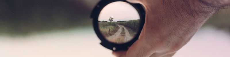 In den Fokus gerutscht – AMC Entertainment, GameStop, Vidac Pharma, TUI Aktie