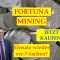 Ist Fortuna Mining Jetzt Eine Gute Investition?