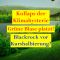 Kollaps der Klimahysterie - Gr&uuml;ne Blase platzt! BlackRock vor Kurshalbierung?