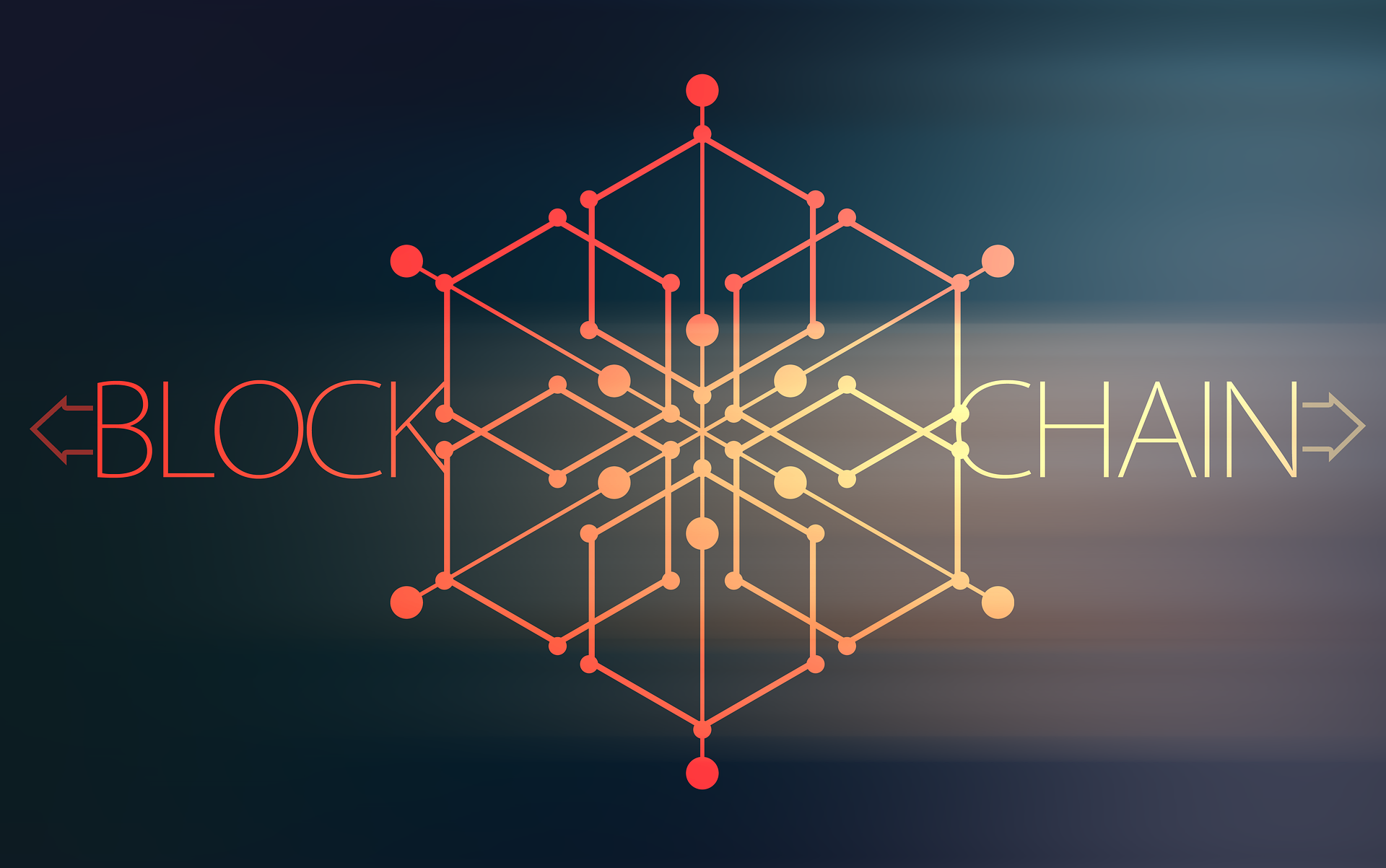 Kryptoaktien und KI gehen durch die Decke - Nakiki, Palantir Technologies,  Riot Platforms