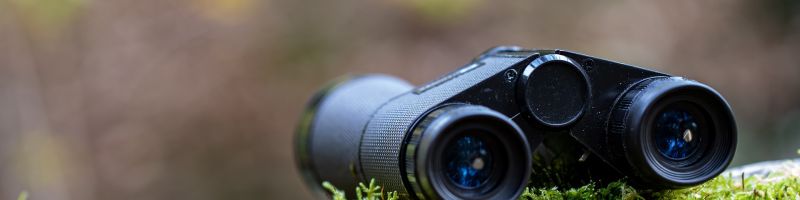 Lohnender zweiter Blick – Carbon Done Right Developments, Infineon, Vivoryon Therapeutics Aktie