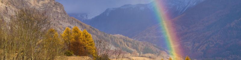 Mit Schwung durch den Herbst – Allianz, Velocity Minerals, Nel Asa, Raytheon Industries