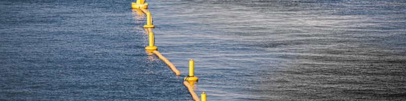 Nach DeepSeek wieder gefangen - C3.ai, Credissential, Palantir Technologies