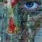 Nach dem Lockdown ist vor dem Lockdown - Defence Therapeutics, Novavax, Valneva Aktie