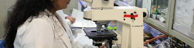 Parkinson Medikament weckt Hoffnung – Bayer, BioNxt Solutions, Evotec Aktie