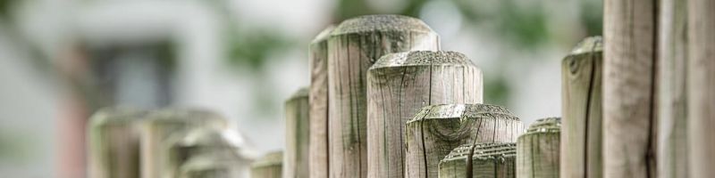 Schuldengrenze treibt Indizes - Encavis, Star Navigation Systems, SFC Energy Aktie