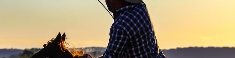 Starke Anstiege und Kurssprünge – Alibaba, Apple, First Nordic Metals, Gilead Science