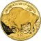 Hebel auf den steigenden Goldpreis - B2Gold, Desert Gold Ventures, Polymetal, XAUUSD, Gold