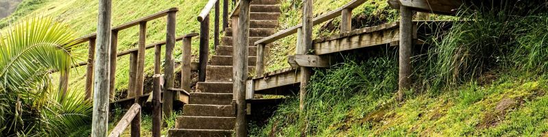 Steigt weiter an – Formycon, Globex Mining, JinkoSolar Aktie