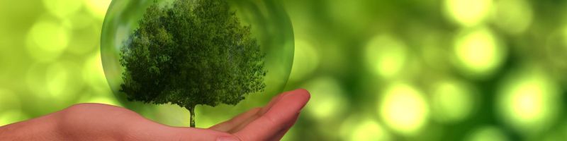 Stresstest bestanden? - dynaCERT, PVA Tepla, Sartorius