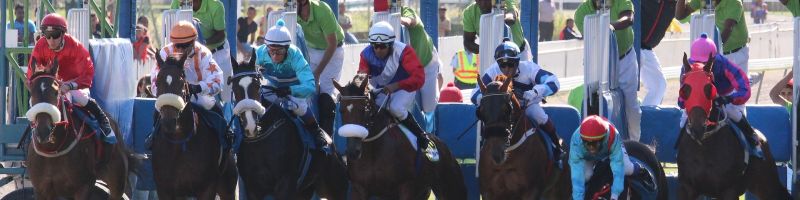 Subventionen und Kurssturz – BYD, Royal Helium, Varta Aktie