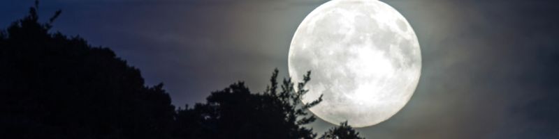 Superzyklus der Rohstoffe – Almonty Industries, Barrick Gold, First Majestic Silver