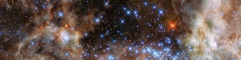 TEN-Bagger, 10% Kurssprung, Wasserstoff Konsolidierung beendet? – Nel ASA, dynaCERT Inc., Tesla