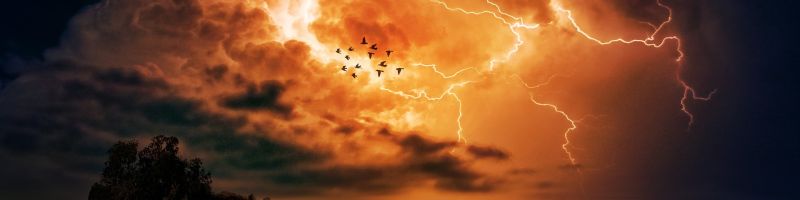 Turbulenzen und Allzeithoch – Bayer, Desert Gold Ventures, UBS Group Aktie