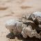 &Uuml;bernahmekarussell beginnt + Neue Top 10 &ndash; Newmont, Endeavour Mining, Teranga Gold, Silver Viper Minerals