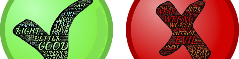 Unterbewertung oder Crash?  Alibaba, Triumph Gold, Yamana