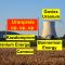 Uranpreis explodiert weiter - Kazatomprom, Cameco, Uranium Energy, Bannerman Energy, Goviex Uranium