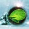 Von der Energiewende profitieren &ndash; E.on, Defense Metals, BYD