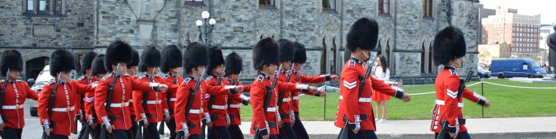 VORWÄRTS, MARSCH! - ADIDAS, HELLOFRESH, VIVA GOLD