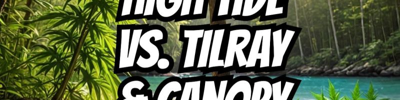 Welche Aktie gewinnt 2025 - High Tide gegen Canopy Growth, Tilray Brands und Co