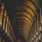 Wer wird Favorit in 2025? BioNTech, Pfizer, Vidac Pharma